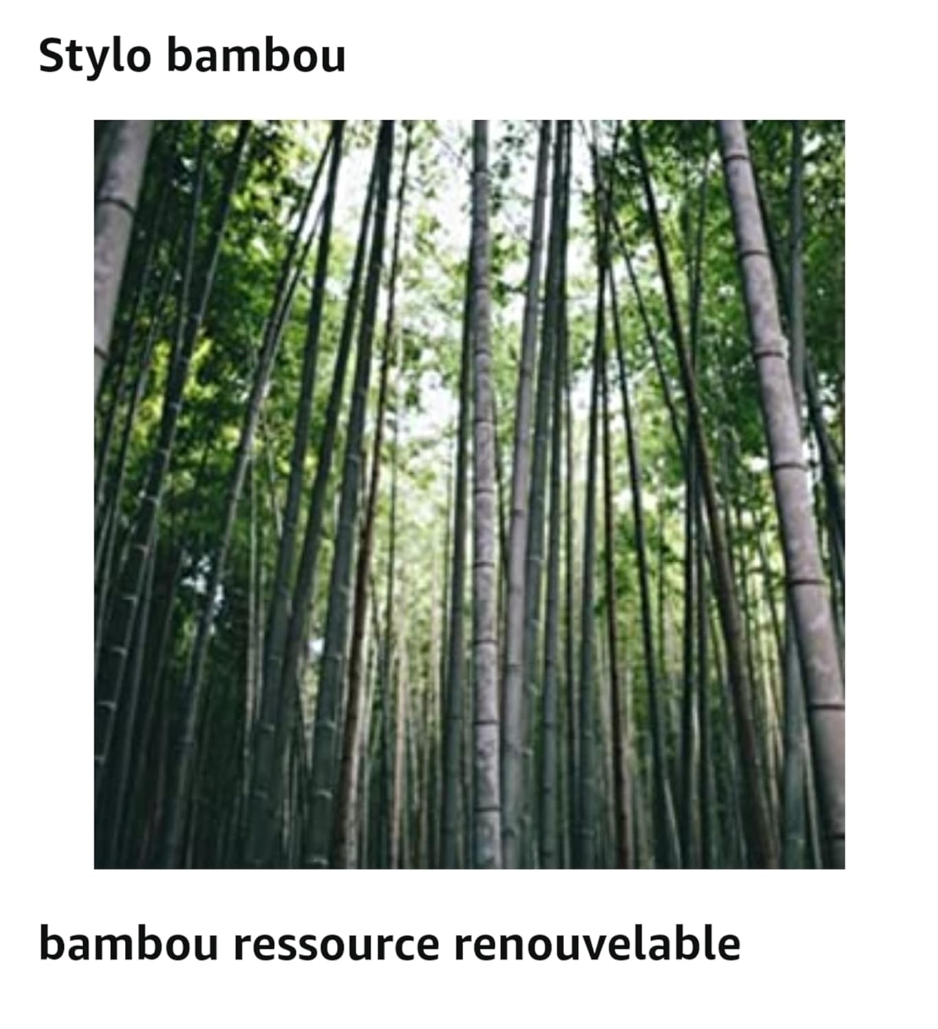 Stylo bambou gravure TEXTE 100% PERSONNALISABLE 2 faces max ref  STYLOBOIS100%PERSONNALISABLE1